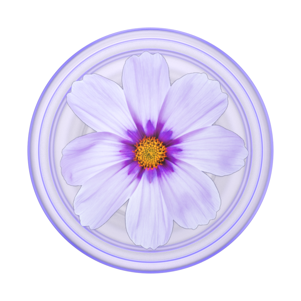 cda65fb4-50bc-4697-89a7-4c37342f8e9a.png