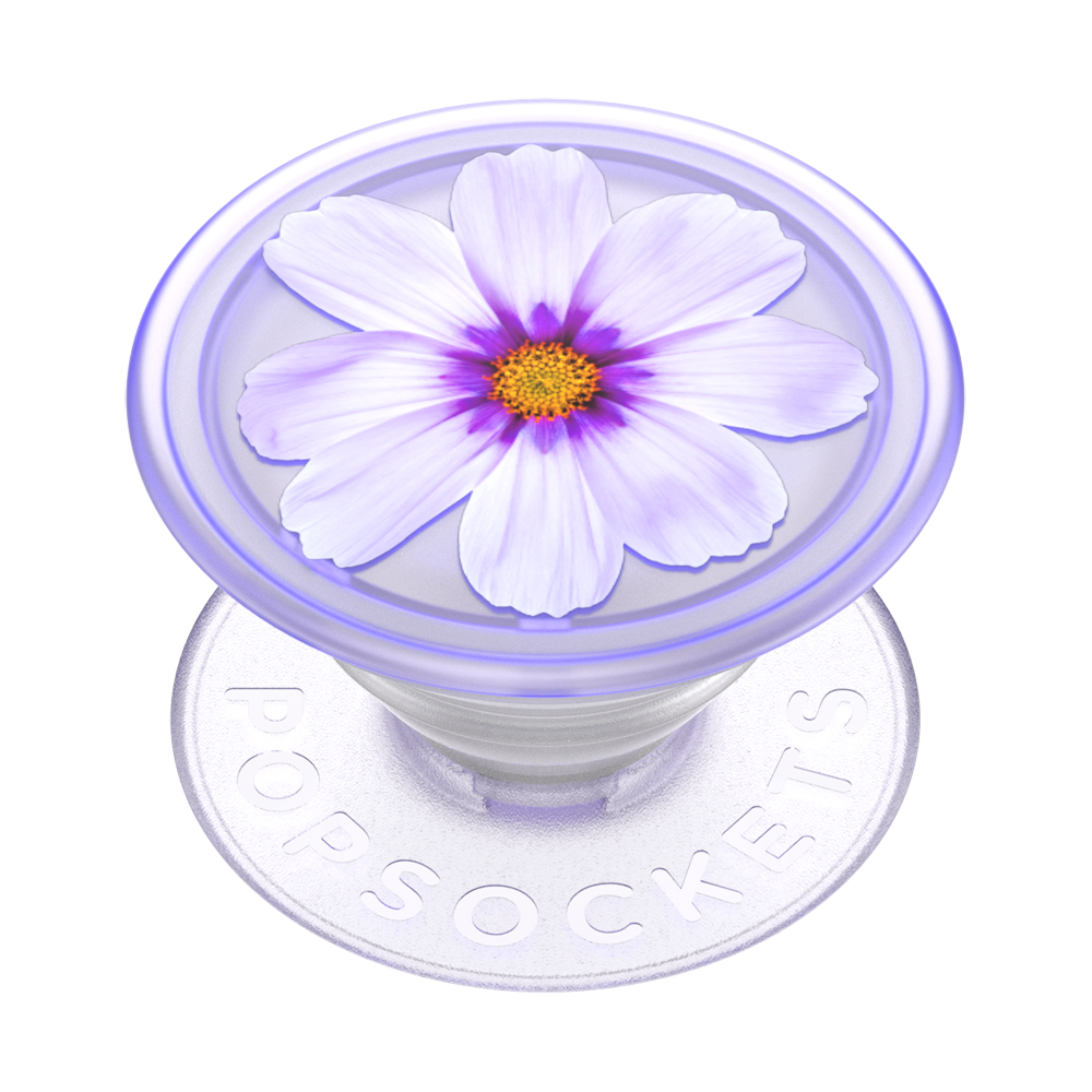 f7884f19-ce20-41a0-bdf3-a1eb76d5d44c.png